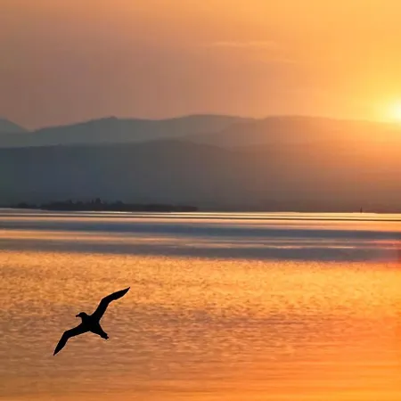 شقة Le Des Reflets Dores Classe 3etoiles -vue Lac-piscine-climatisation-animaux Admis Le Barcarès